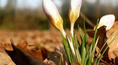 There Is Life After Death
