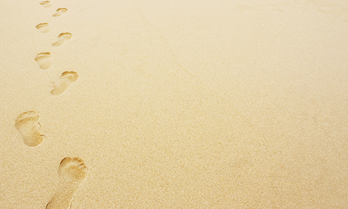 Dr Watson writes  ‘How do we follow Jesus Christ, and walk with Him in the world?’