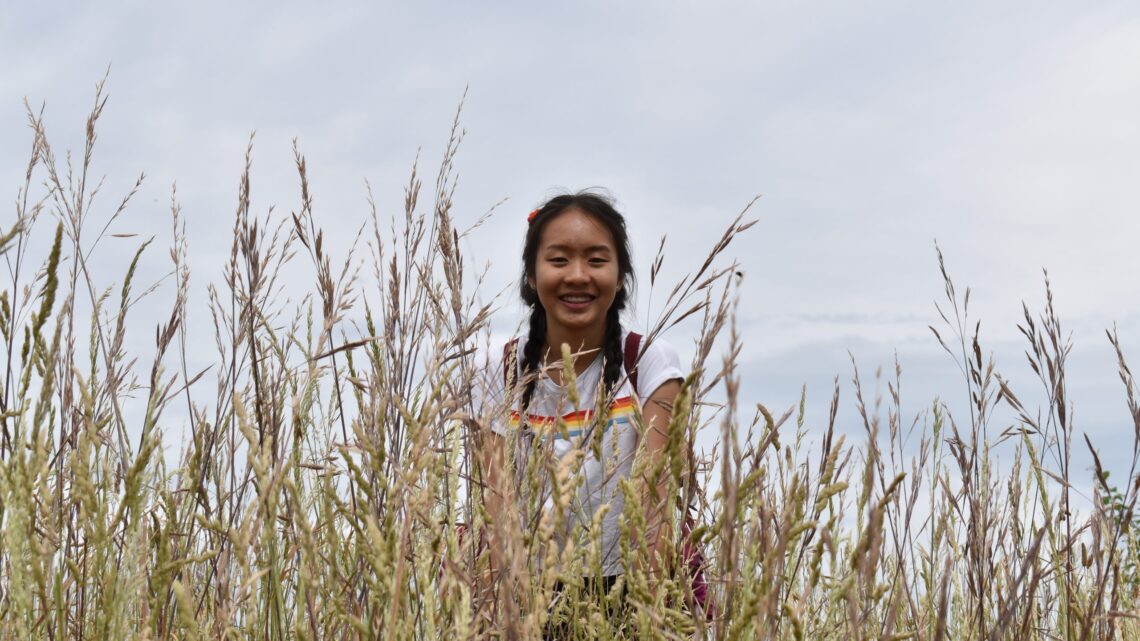 Methodist youths and creation care