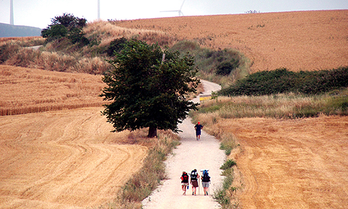 Pilgrims on a quest