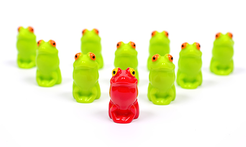 Sleeping with frogs