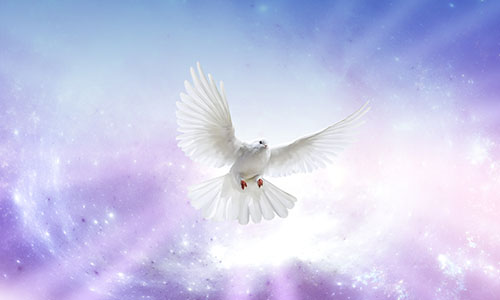 The indwelling of the Spirit, expressed