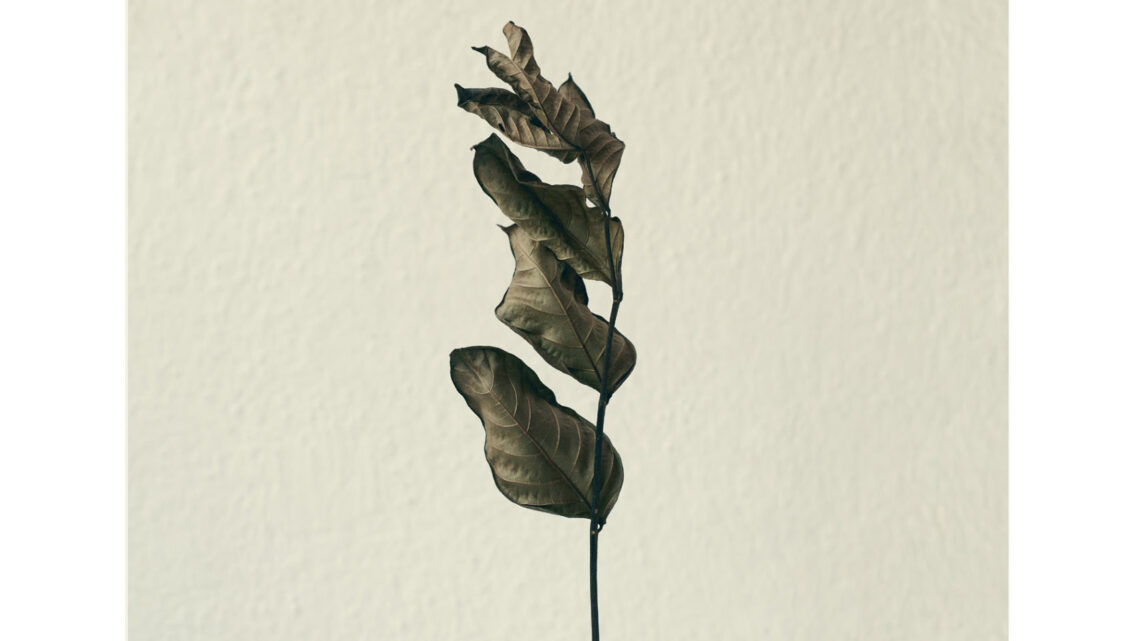 Irrevocable Gifts – How do our gifts help make sense of who we are?