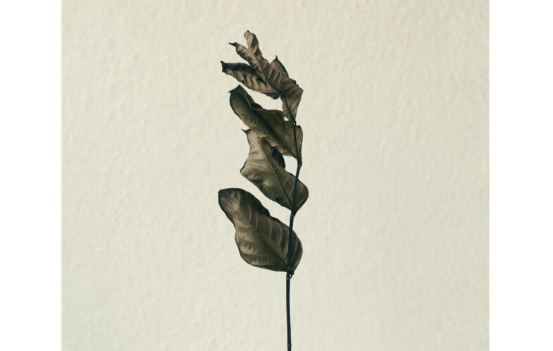Irrevocable Gifts – How do our gifts help make sense of who we are?