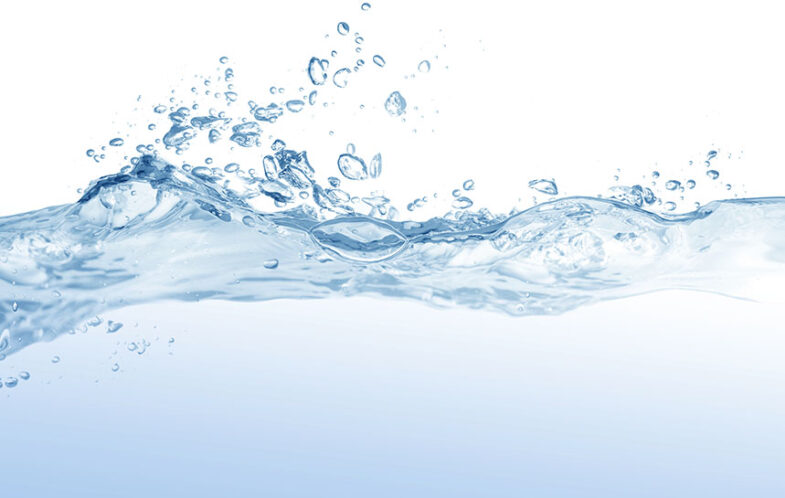 “Living Water, Divine Grace” – GC WSCS celebrates World Federation Day