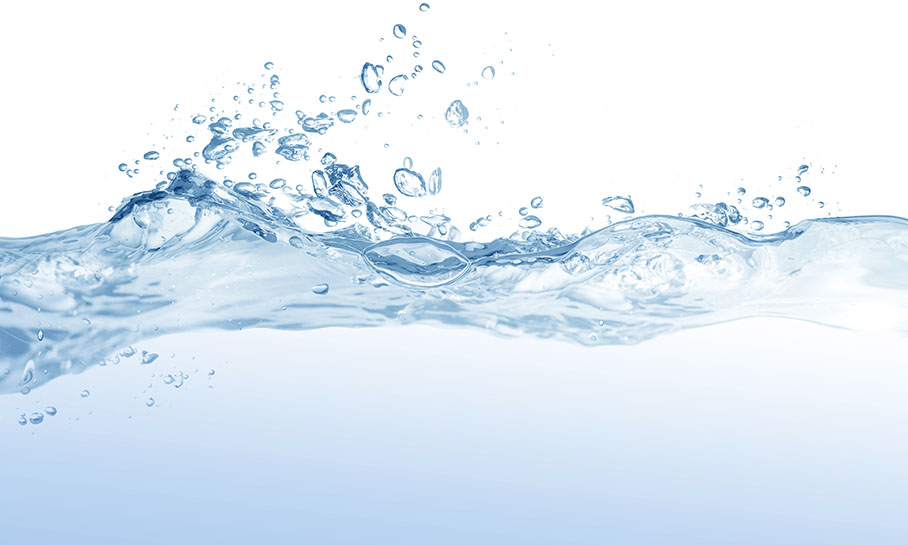 “Living Water, Divine Grace” – GC WSCS celebrates World Federation Day