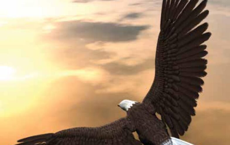Soaring On Eagles’ Wings