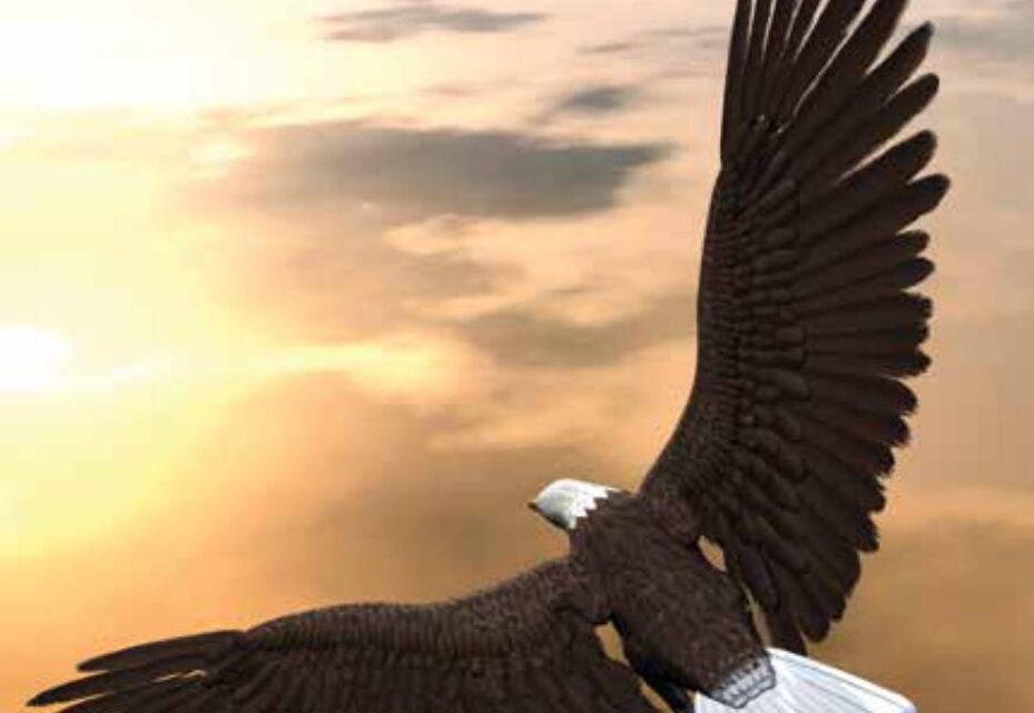 Soaring On Eagles’ Wings