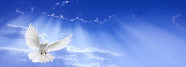 Be inspired by the Holy Spirit