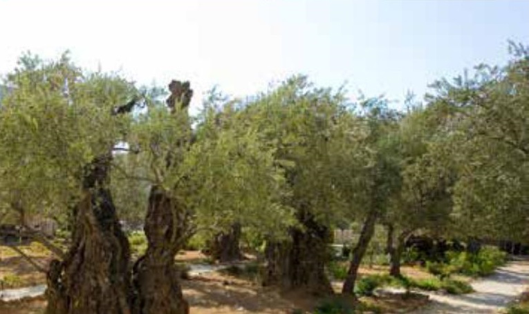 Gethsemane