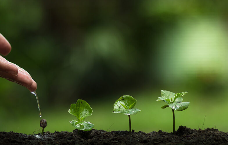 Vision and ambition
