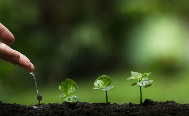 The growth God grants