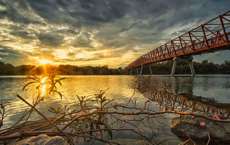 Before the bridge is burnt