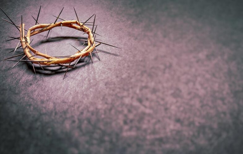Meekness and Majesty