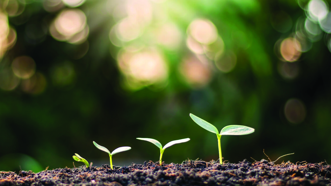 Raising a resilient generation in a complex world