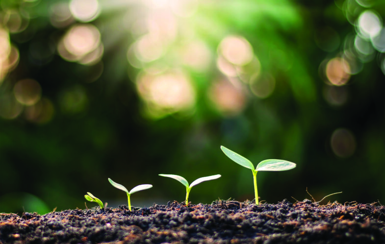 Raising a resilient generation in a complex world
