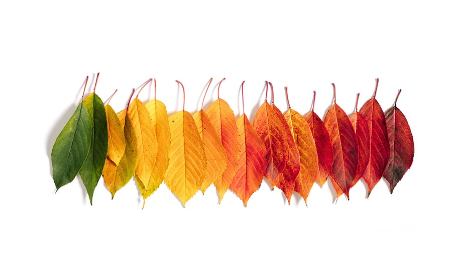 Change, obsession and keeping up