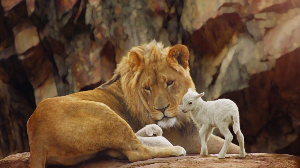 In your Kingdom Lord
