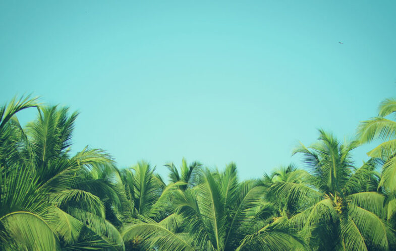 Hosanna