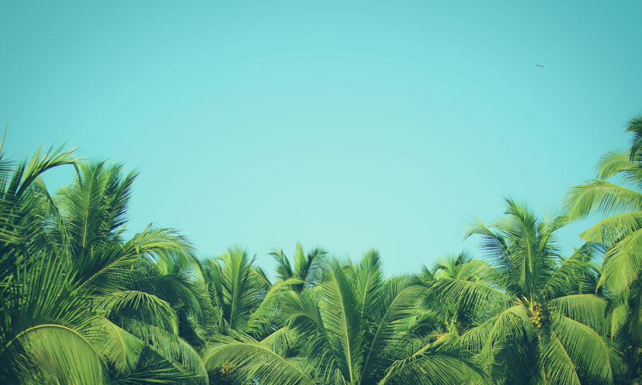 Hosanna