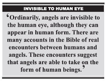 Angels are God’s special creatures