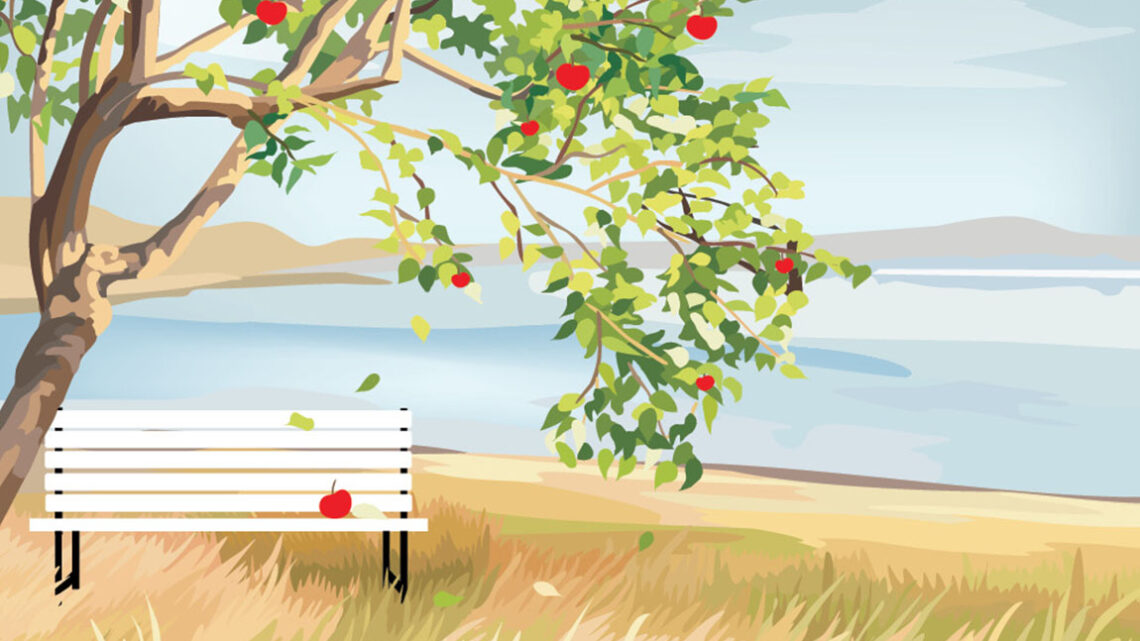 The apple does not fall far from the tree… or does it?