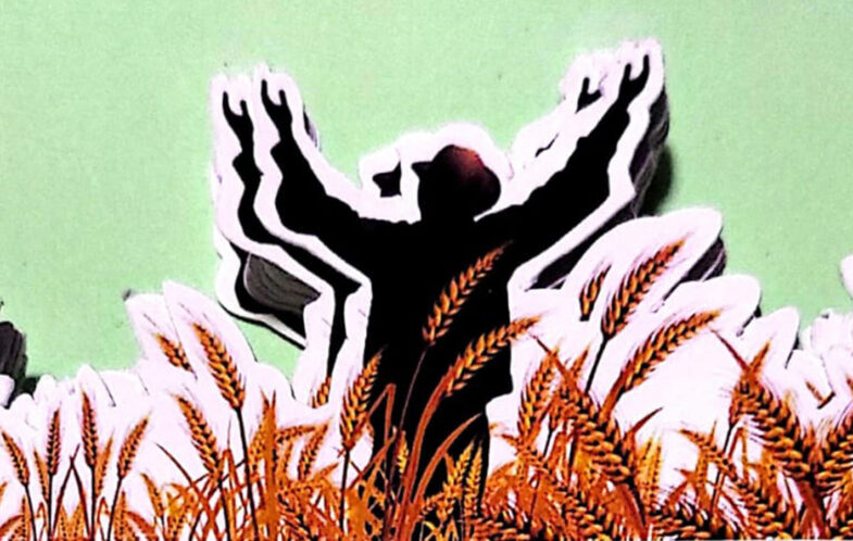 Towards Harvest 2024