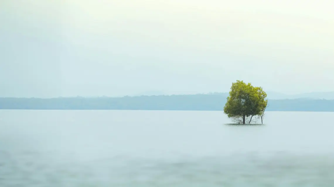 The Lord is close to the brokenhearted