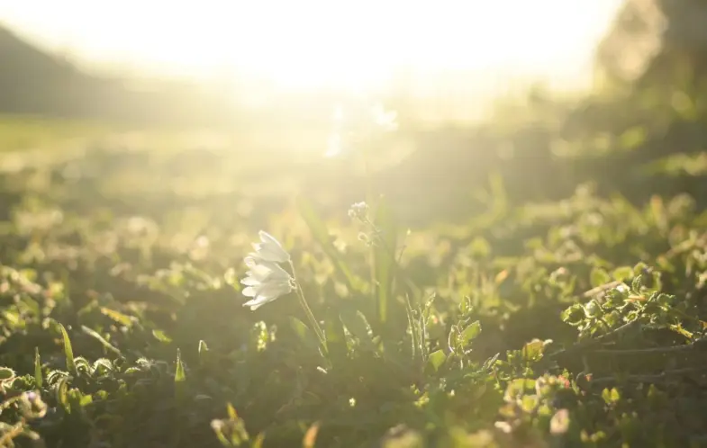 The transforming power of worship: Seeing God with renewed minds