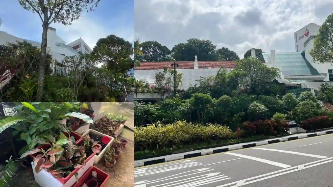 It all adds up: How Wesley Methodist Church is loving God’s world in small ways
