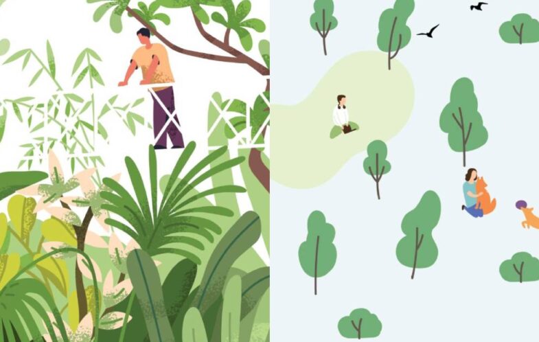 What tending a garden taught me about rest, healing and trusting God